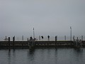 Mackinaw Island Area May 2008 1459